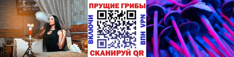 Псилоцибиновые грибы Psilocybine cubensis Бийск