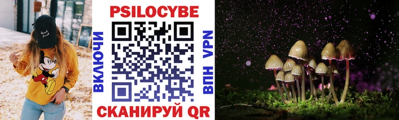 Галлюциногенные грибы Cubensis закладка Бийск